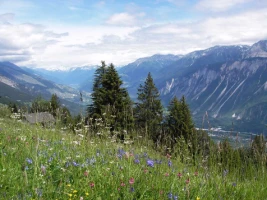 Les Bisses du Valais - Photo 1