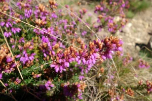 Rando & Détente à St Jean de Luz - Photo 1