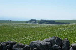 Tour de l'Aubrac en liberté - Photo 1