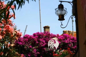 Rando & Thalasso Banyuls en liberté - Photo 1