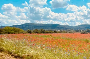 Le Rhône à vélo : Genève - Lyon - Photo 3