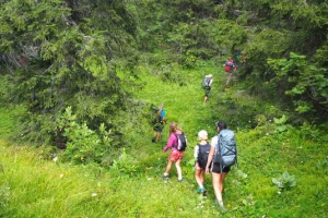 Multi activités dans le Haut Jura - Photo 1