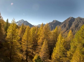 Couleurs d'automne en Queyras - Photo 1