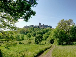 Chemins de Compostelle : Montbrison - Le Puy (Voie de Cluny) - Photo 3