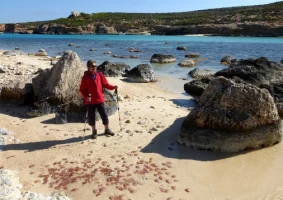 Malte, Gozo & Camino - Photo 1