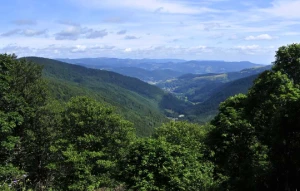Tour des Hautes Vosges en liberté - Photo 1