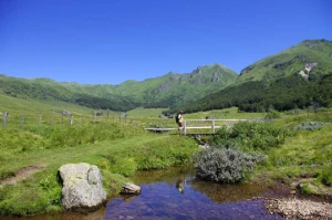 Traversée du Puy de Dôme au Sancy en liberté - Photo 2