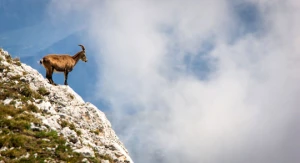 Tour du Vercors - Photo 3