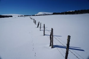 Week-End Auvergne - Photo 1