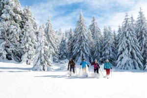 WE ski de randonnée nordique Vercors - Photo 2