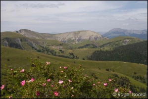 Retrouvance® : Haute-Provence - Photo 3