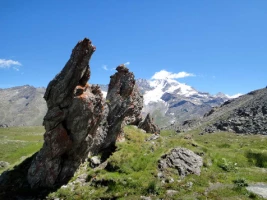 Grand Paradis en liberté - Photo 2