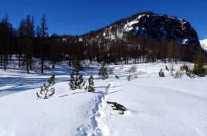 WE Réveillon dans les Ecrins - Photo 1