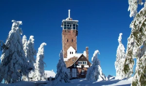 Raquettes & Bien Etre en Forêt Noire - Photo 1