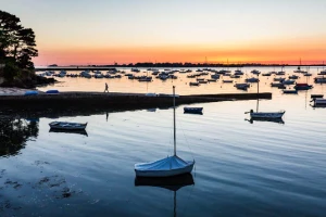 Belle île en étoile en liberté - Photo 3