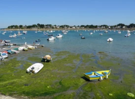 Golfe du Morbihan et ses îles - Photo 1