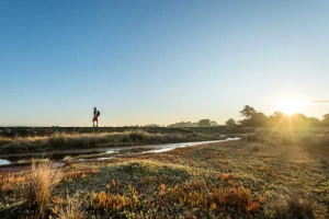 Golfe du Morbihan et ses îles - Photo 2