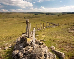 Aubrac : Les Grands Espaces en liberté - Photo 1
