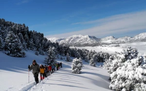 WE Réveillon et igloo dans le Vercors - Photo 3