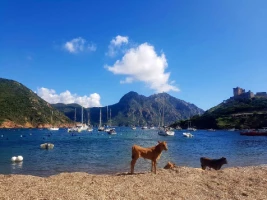 Mare e Monti - Photo 1