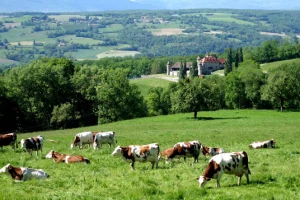 Sur les pas des Huguenots : Chambéry - Genève - Photo 1