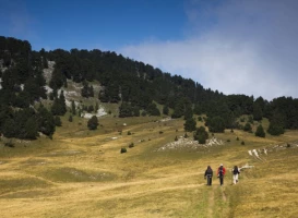 Sur les pas des Huguenots : Die - Le Percy - Photo 1