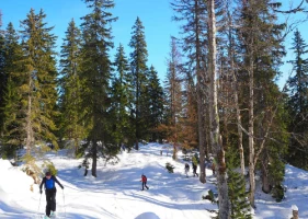 WE Réveillon dans le Haut Jura - Photo 3