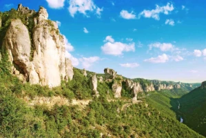 Les Gorges du Tarn en liberté - Photo 3