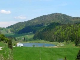 WE eVTT sur la GTJ : Metabief - Lajoux - Photo 3