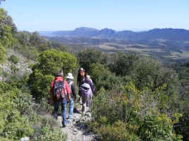 Route des Chateaux Cathares : Citadelle du Vertige - Photo 3