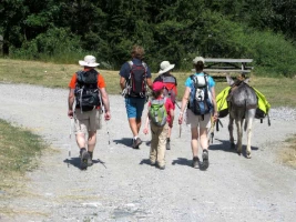 Les Ecrins avec un âne - Photo 2