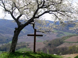 Tour du Beaujolais en Liberté - Photo 2