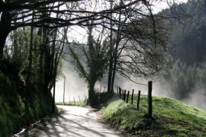Tour du Beaujolais en Liberté - Photo 1