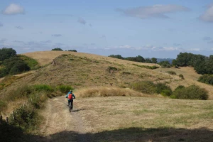 Compostelle à vélo : Le Puy - Cahors - Photo 3