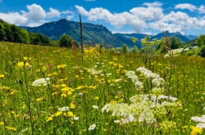 Rando ET oxygène en Chartreuse - Photo 3