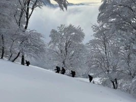 Chartreuse : vallons et Alpages - Photo 1