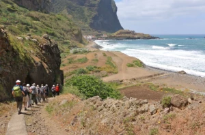 MADERE EN LIBERTE - Photo 2