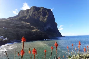 MADERE EN LIBERTE - Photo 3