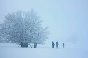 WE Réveillon Trappeur en Vercors - Photo 3