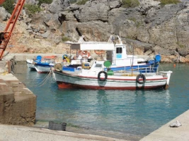 Crête en liberté - Photo 3