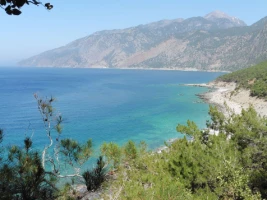 Crête en liberté - Photo 2