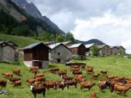 GTA : Chamonix - Briançon, l'intégrale - Photo 3