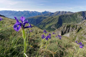 Les Hauts Sommets d'Andorre - Photo 1