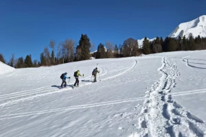 Au Coeur des Aravis - Photo 3