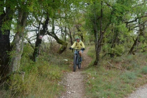Compostelle à vélo : Cahors - St Jean Pied de Port - Photo 3