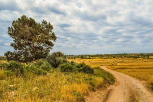 Compostelle à pied et en bus : St Jean Pied de Port - Santiago - Photo 3