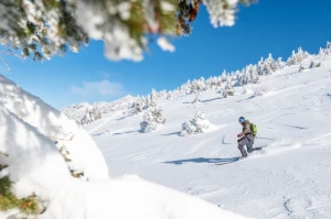 Aventure nordique en Vercors (sportif) - Photo 1