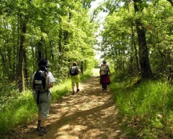 Chemins de Compostelle : Nasbinals - Conques - Photo 1