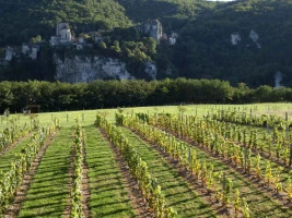 Chemins de Compostelle : Cahors - Lectoure - Photo 1