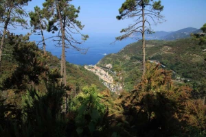 Réveillon dans les Cinque Terre - Photo 1